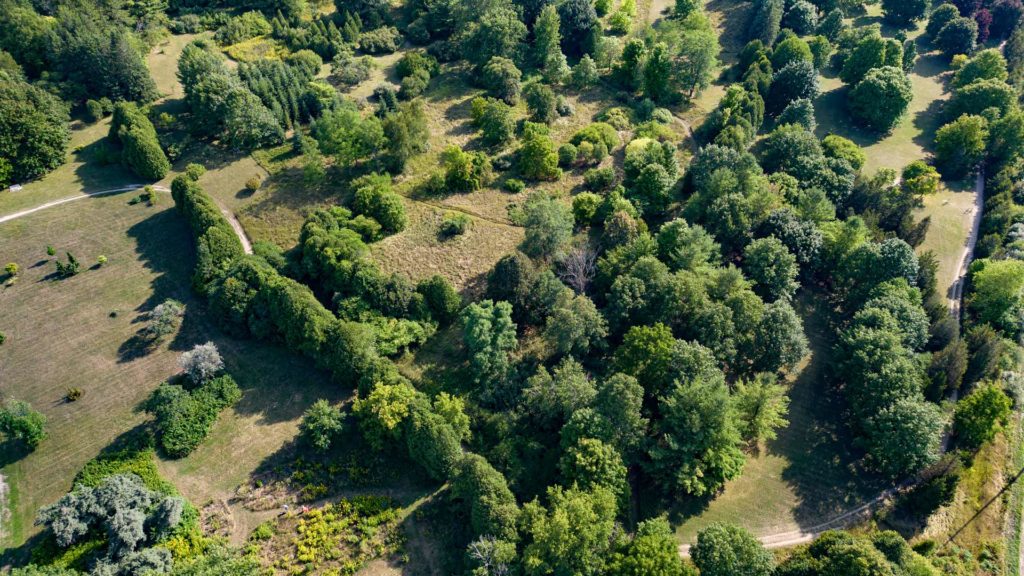 An aerial image of trees and trails in the Arboretum 