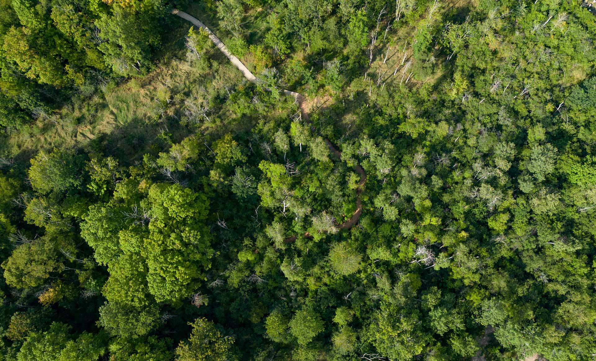 drone of arboretum Wild Goose Wood