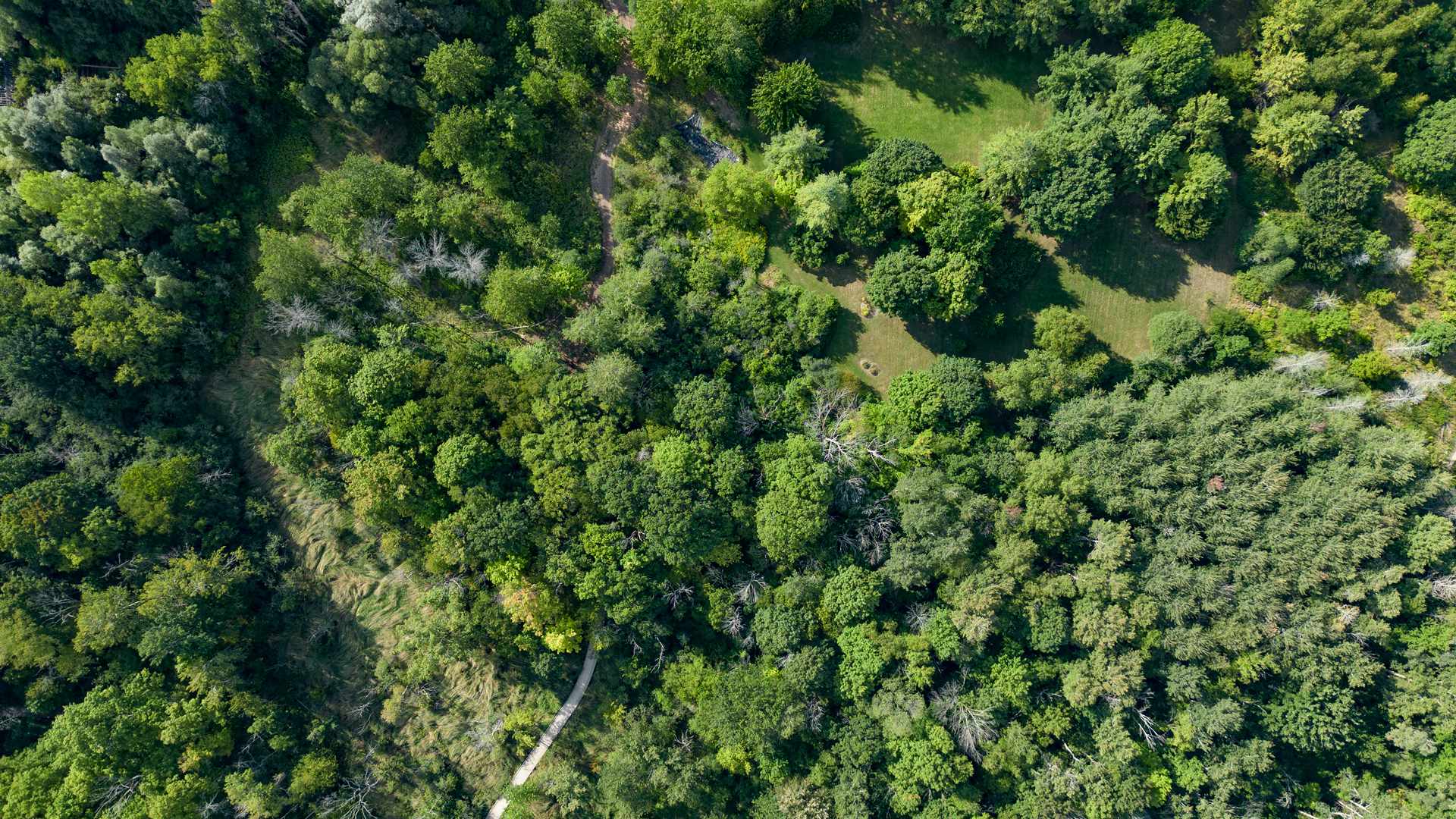 drone photograph of the arboretum forest