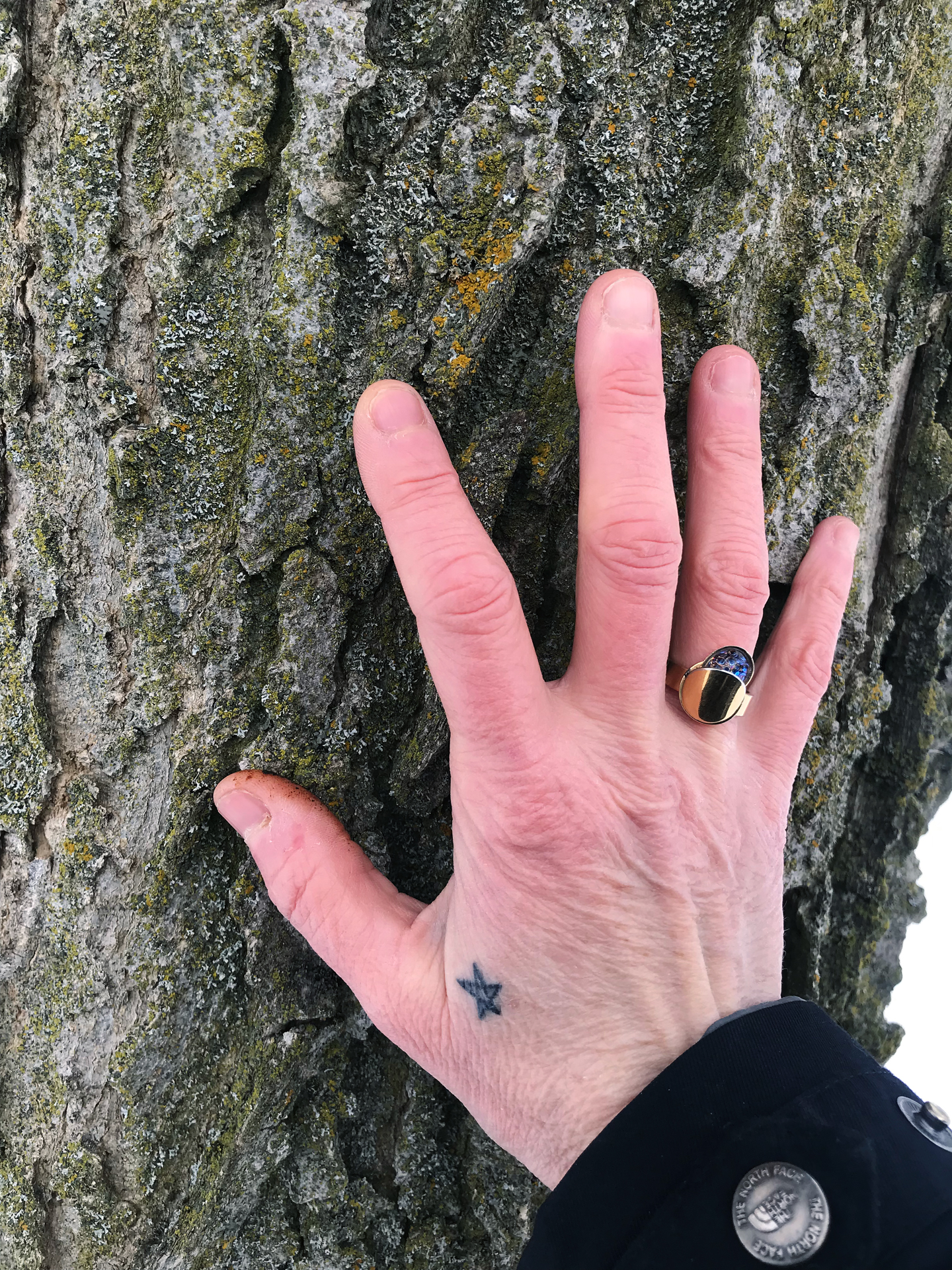 a colour photo of a right hand with a small start tattoo and a gold ring on holding a tree trunk 