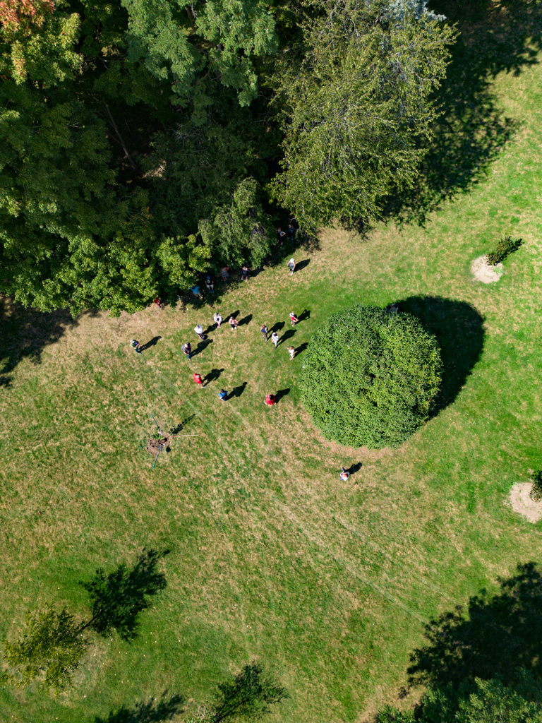 an aerial photo of people in a circle next to a large tree