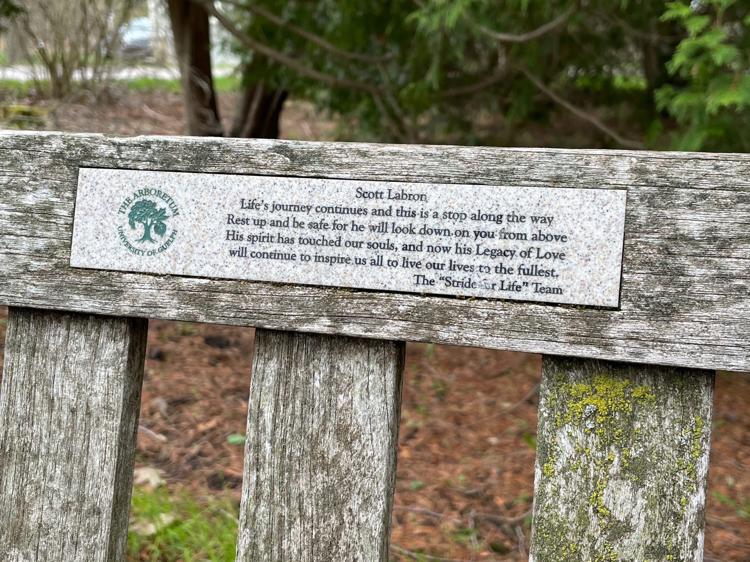colour photograph of a park bench covered in lichen and a small plaque with a dedication to Scott Labron:...