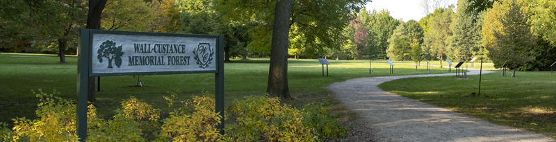 decorative image of the Wall-Custance Memorial Forest