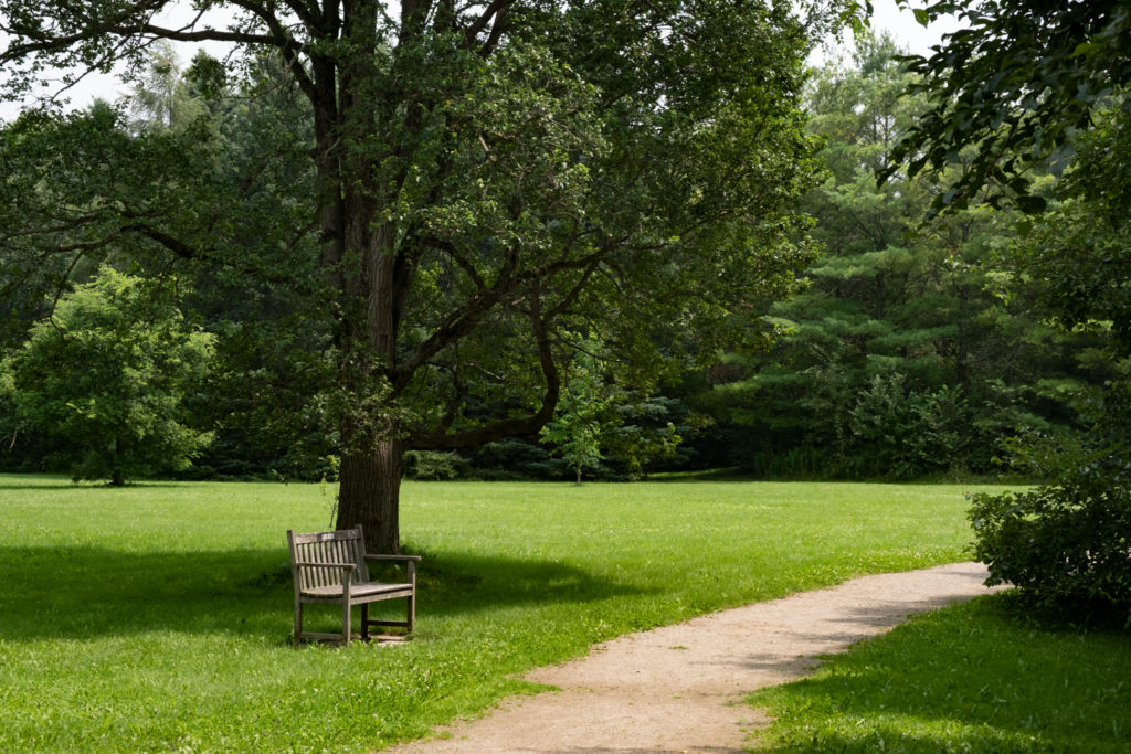 A colour photo of a bench next to a path 